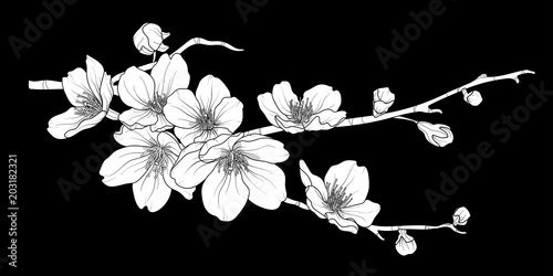 Cute hand drawn white silhouette sakura branch set 2.