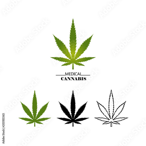 Set different logo marijuana leaves isolated on white background. Medical cannabis green  black and thin line leaf - vector flat illustration