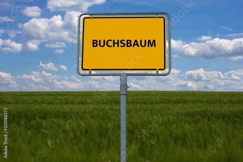 BUCHSBAUM - Bilder mit Wörtern aus dem Bereich Buchsbaumzünsler Schädling , Wort, Bild, Illustration