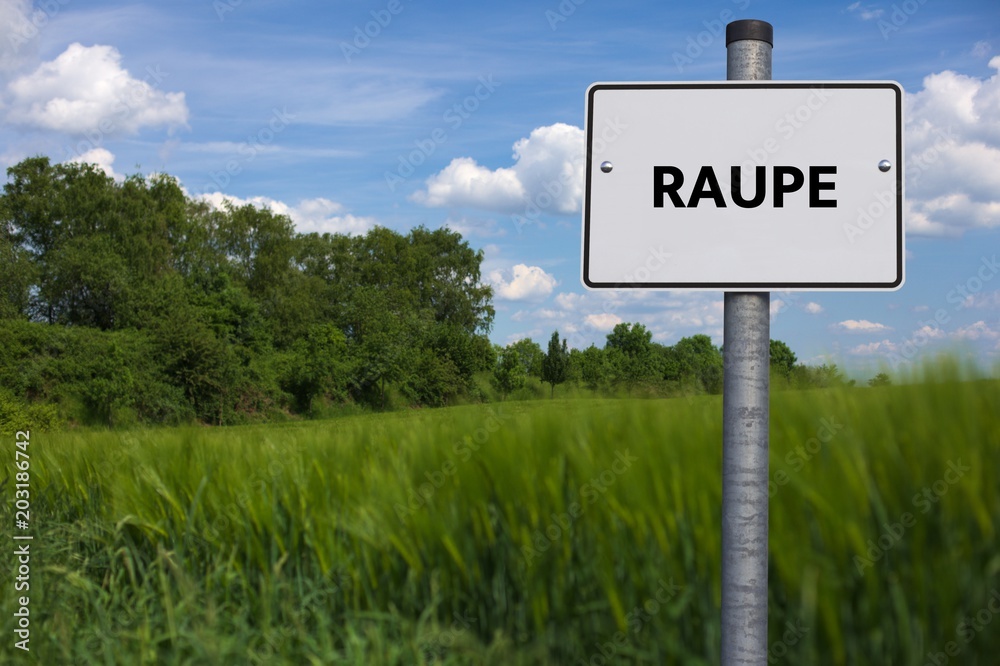RAUPE - Bilder mit Wörtern aus dem Bereich Buchsbaumzünsler Schädling , Wort, Bild, Illustration