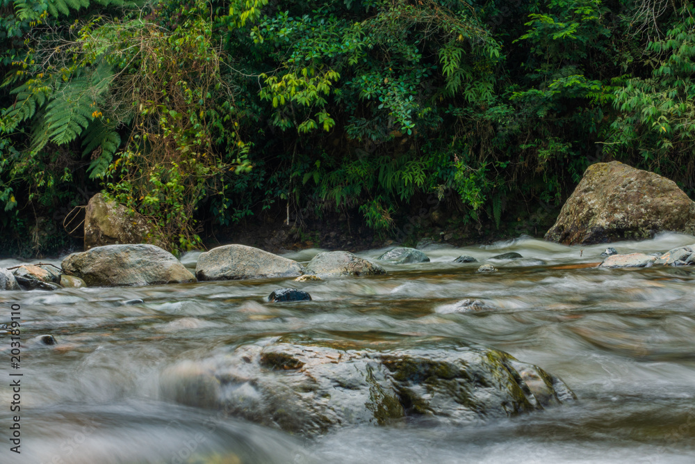 River with plants and rocks River with plants and rocks