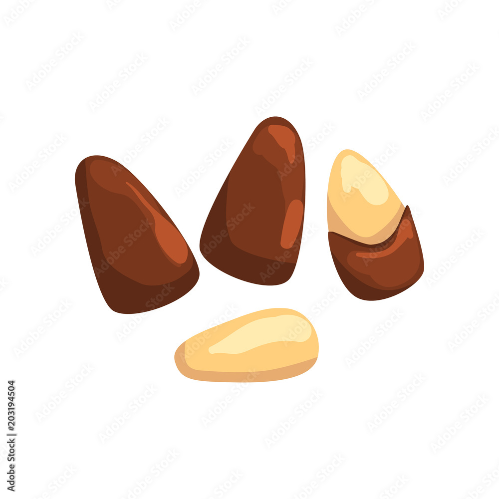 Cedar nut, nutritious natural product vector Illustration on a white background Cedar nut, nutritious natural product vector Illustration on a white background