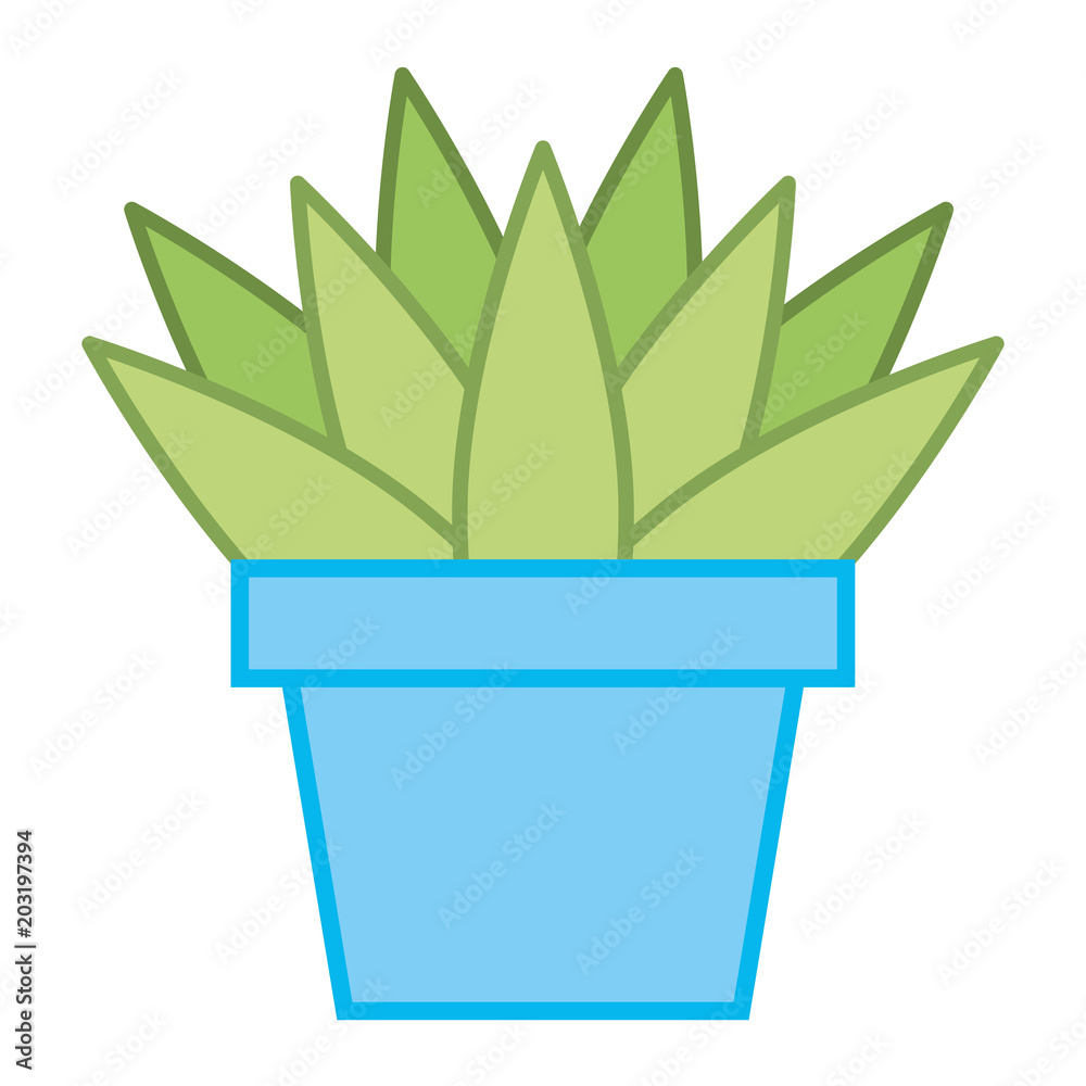 house plant in pot vector illustration design house plant in pot vector illustration design