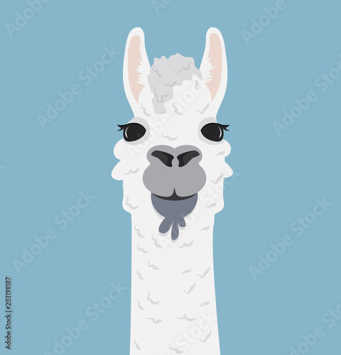 Alpaca lama portrait Vector Illustration