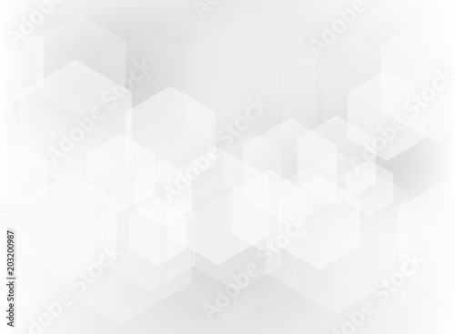 Abstract geometric hexagon overlay pattern on white and gray background.