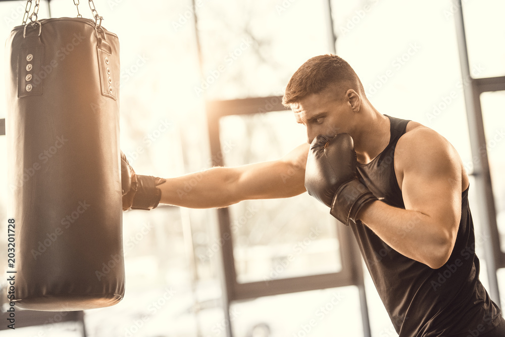 muscular young boxer training with punching bag in gym