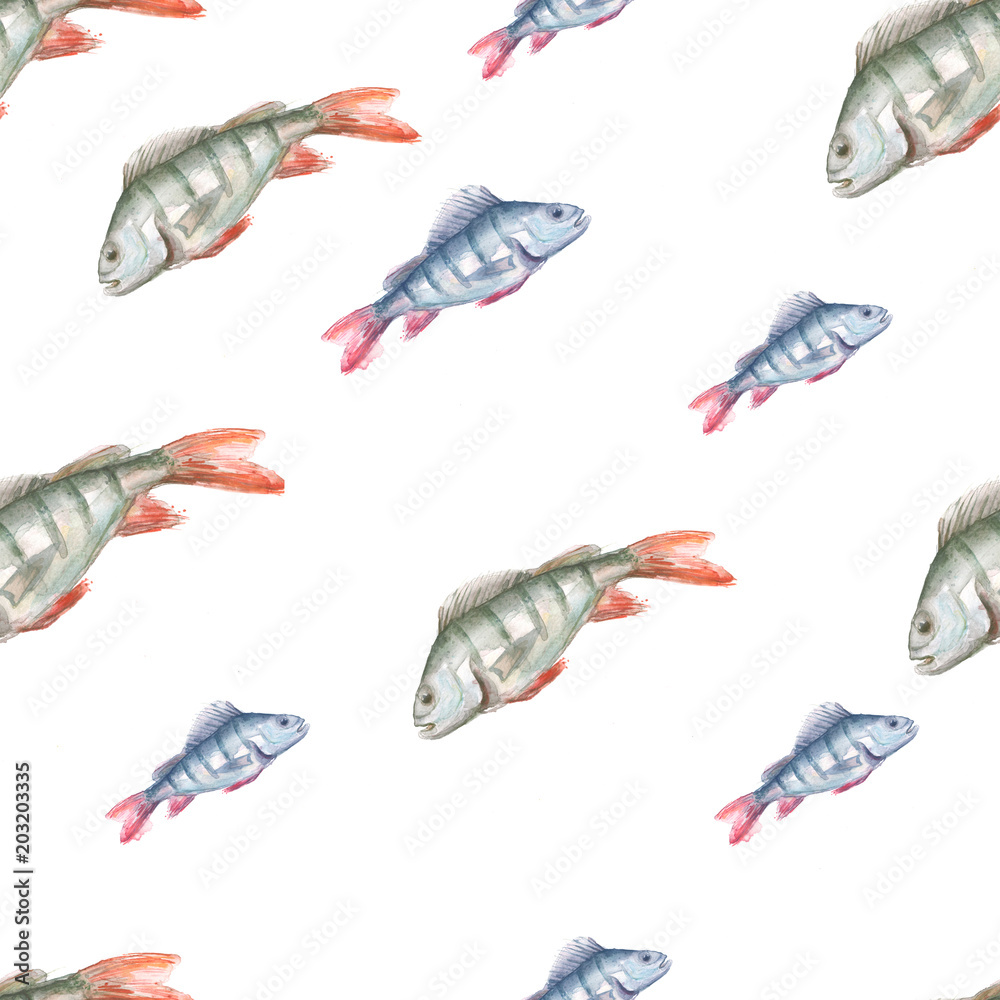 A flock of fish perch. Drawing made by watercolor, hand-drawn graphics on white isolated background. Undersea world. Seamless vintage artwork background. 