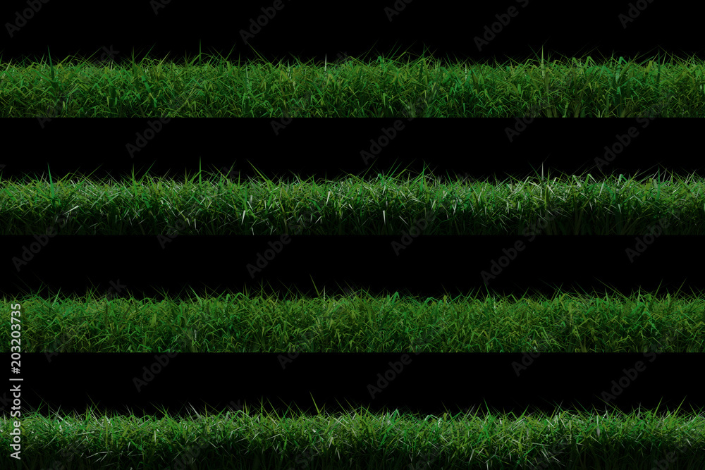 3d rendering green grass isolated on black background
