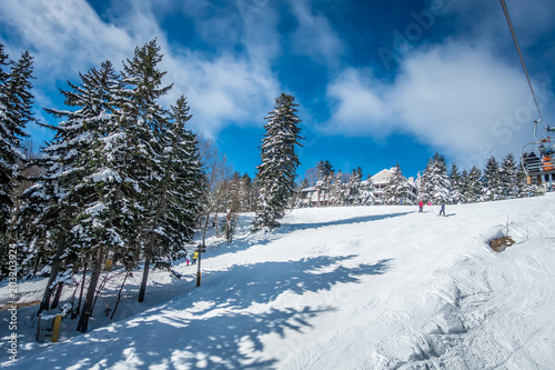 beautiful nature and scenery around snowshoe ski resort in cass west virginia