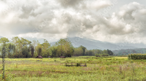 romantic painting of the magical landscape of countryside of thailand