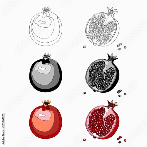 Vector illustration, set. Pomegranate, cut garnet, half a pomegranate, garnet berries. Black line, black and white and color image
