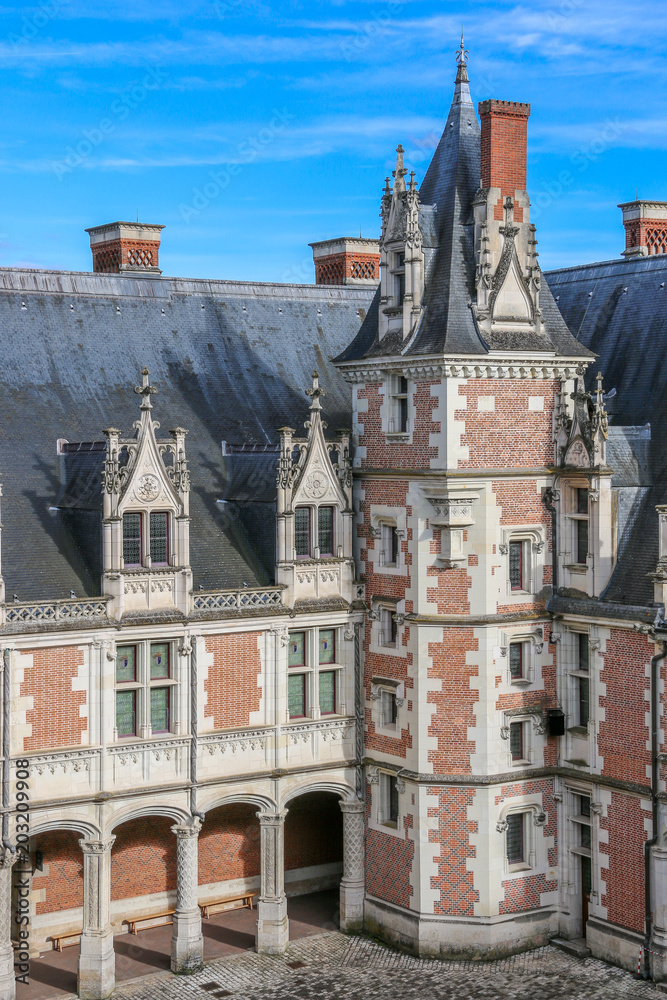 Obraz premium Chateau blois