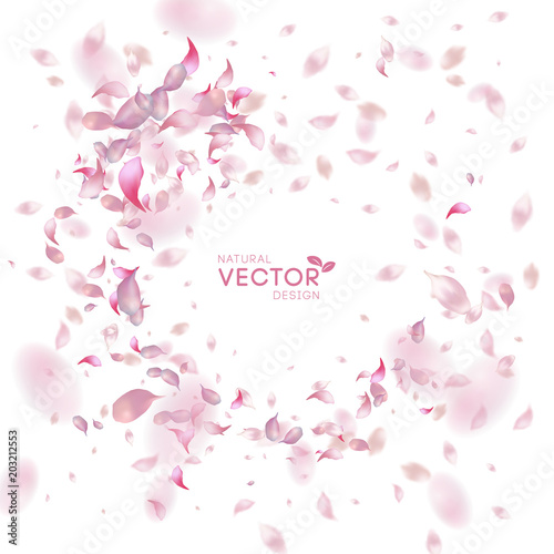 Petals Flying Background
