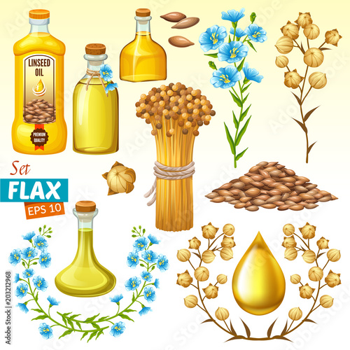 Set linseed oil, flax seeds and flowers. Isolated vector illustration.
