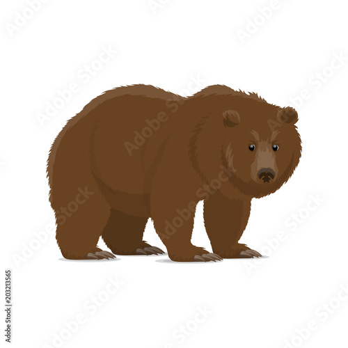 Brown bear or grizzly animal icon of wild predator