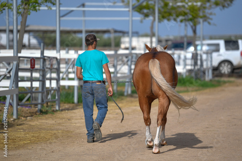 Cowboy accompanies his horse in a ranch
