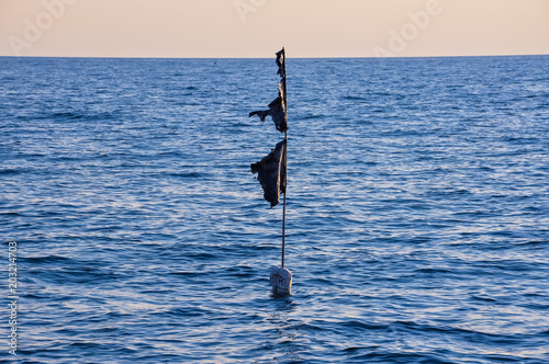black buoy in the sea