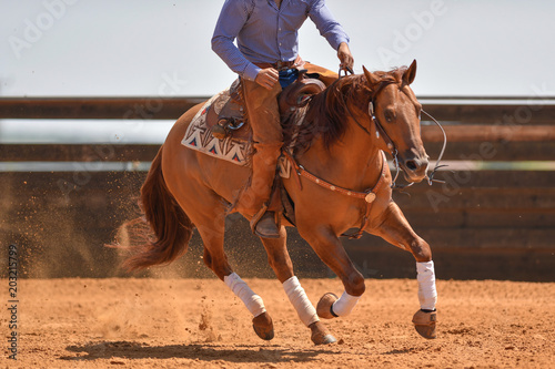 The front view of a rider in jeans, cowboy chaps and checkered shirt on a reining horse galloping in the red clay an arena.