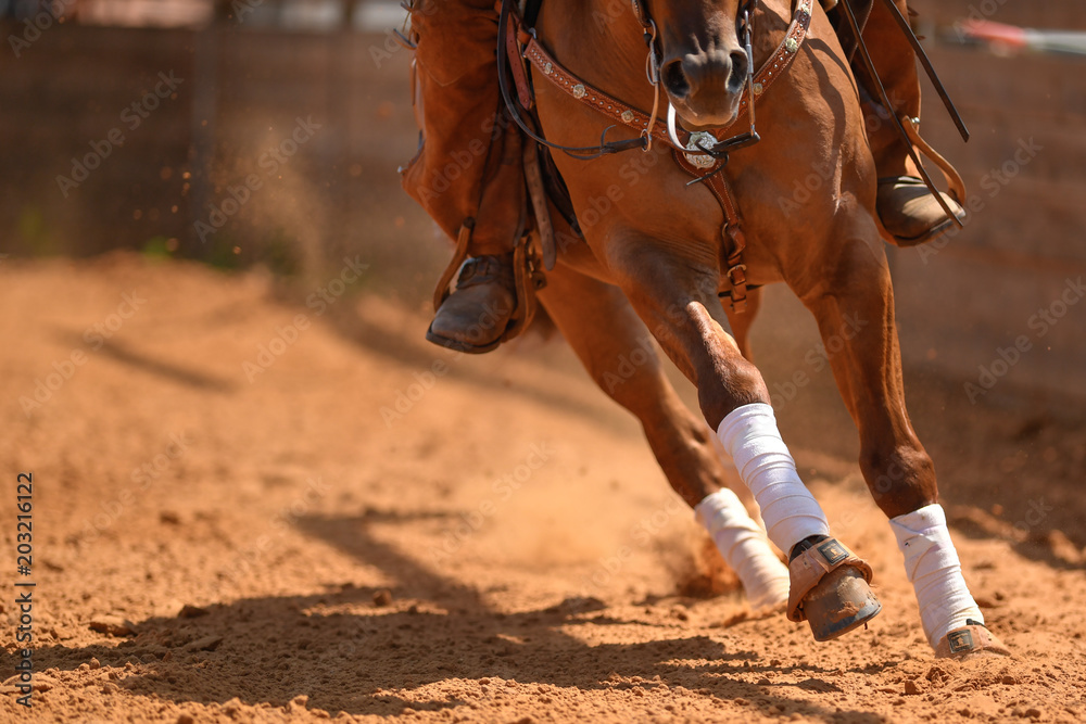 The rider on a reining horse slides to a stop in the red clay an arena.