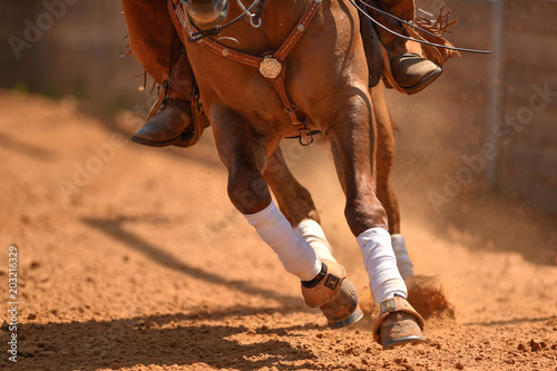 The front view of a rider on a reining horse galloping in the red clay an arena. photo