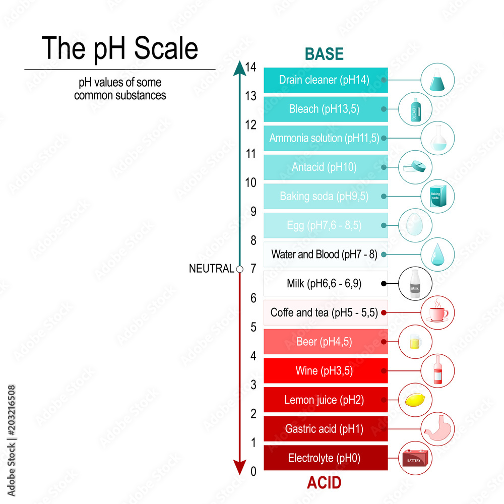 Ph Scale Stock Vector 