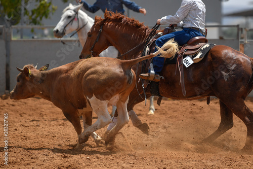 Kowboj w kapeluszu, dżinsach i kraciastej koszuli na koniu w konkursie cięcia łydek.