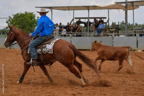 Cowboy in hat, jeans and checkered shirt riding her horse in a calf cutting competition. © PROMA