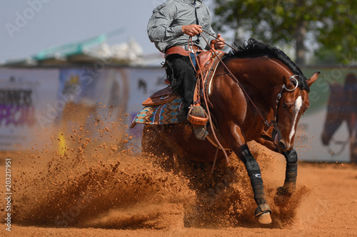 The side view of a rider in cowboy chaps and boots on a horseback stopping the horse in the dust.