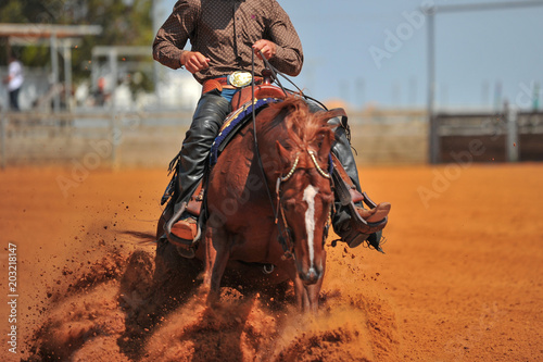 The front view of a rider in cowboy chaps and boots on a horseback stopping the horse in the dust.