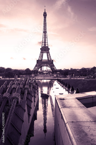 Eiffel tower. paris. france. Sweet tones photography.