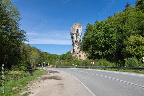 Limestone monadnock, rock called "Maczuga Herkuklesa" (Hercules cudgel or bludgeon). Jurassic rock formation with Pieskowa Skala Castle in the background in Ojcow National Park near Krakow