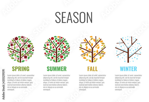 four season circle sign with tree season change in spring summer fall (autumn) winter vector design