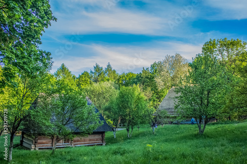 ukrainian folk house in summer green garden