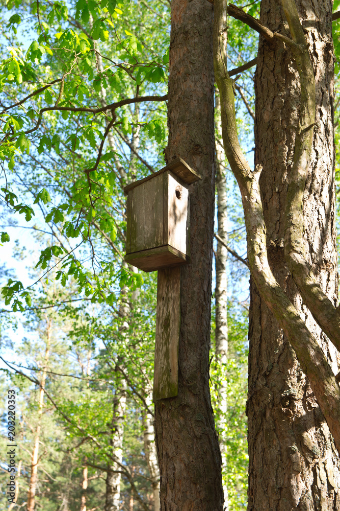 Old wooden Birdhouse on a tree in the forest with a round entrance hole . Old wooden Birdhouse on a tree in the forest with a round entrance hole .