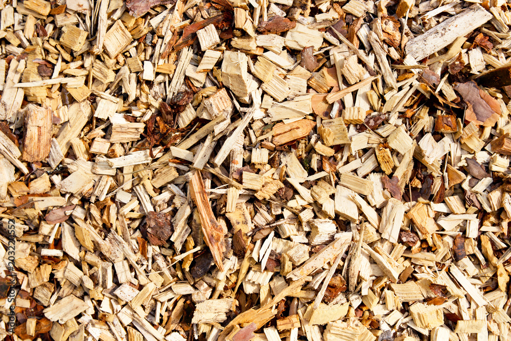 Large sawdust, background , wood texture Large sawdust, background , wood texture