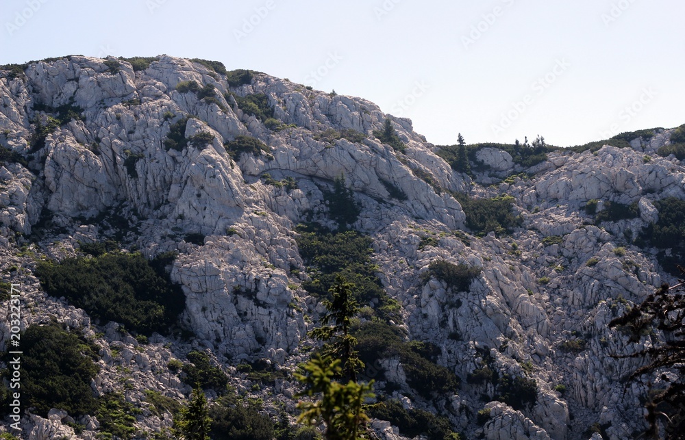 Rocky mountain Velebit in Croatia canyon rocks trees green