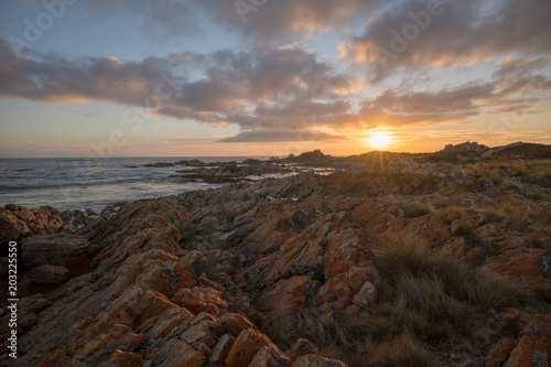 sunrise  West Point Reserve  Tasmania