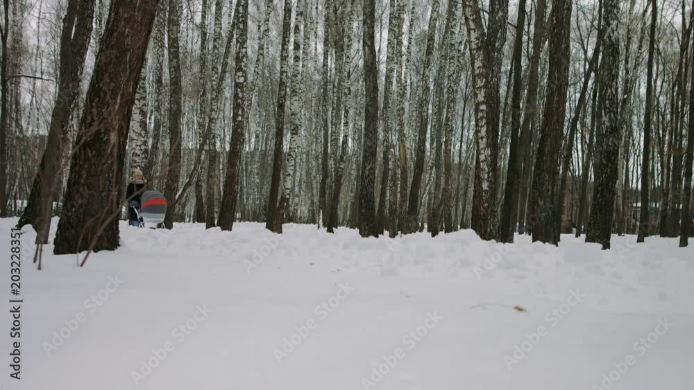 Mother walking with a baby stroller In the snowy forest Mother walking with a baby stroller In the snowy forest
