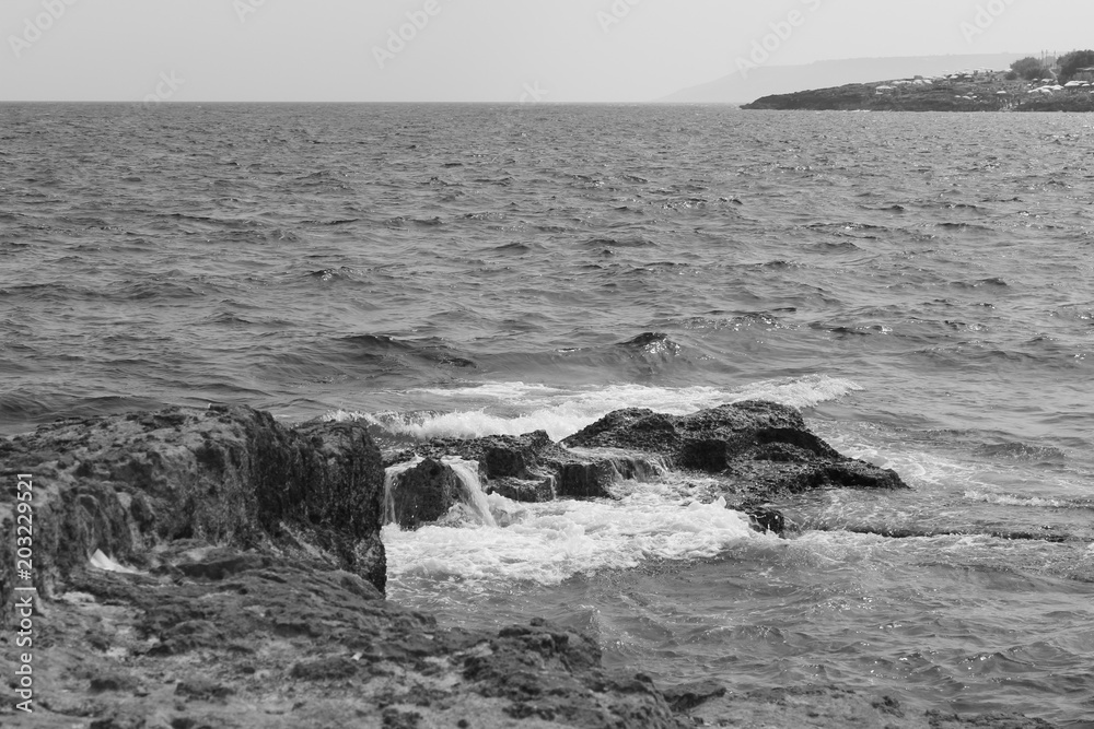 Fototapeta premium Mare in bianco e nero