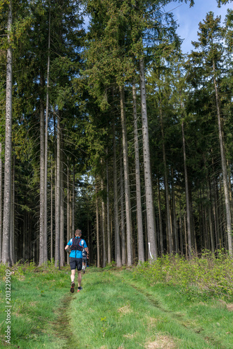 People running through a forest 