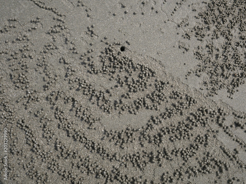 texture of sand for background