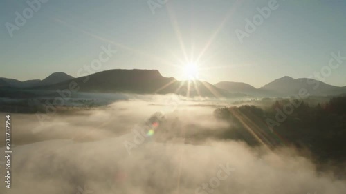 Low hanging mist over tree's near Kilchurn castle, Scotland