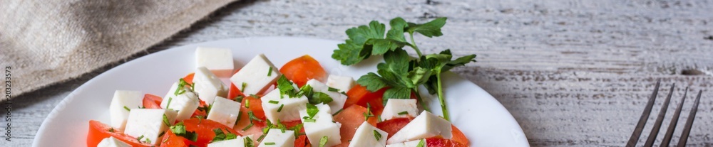 Banner of Fresh salad with tomato, mozzarella and herbs. Banner of Fresh salad with tomato, mozzarella and herbs.