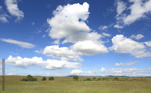 Masai Mara Wallpapers 