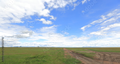 Masai Mara Wallpapers 