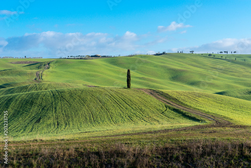 Green rolling hills near San Quirico d'Orcia, Tuscany, Italy