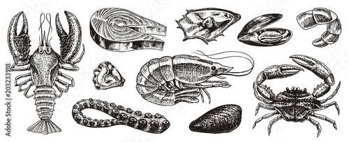 Crustaceans, shrimp, lobster or crayfish, crab with claws. River and lake or sea creatures. Freshwater aquarium. Poster for the menu. Engraved hand drawn in old vintage sketch. Seafood background.