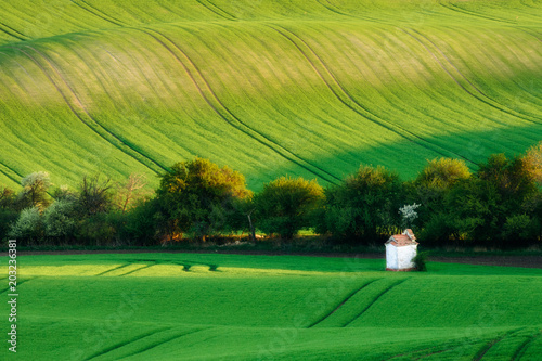 Obraz na płótnie Beautiful fields in spring w salonie