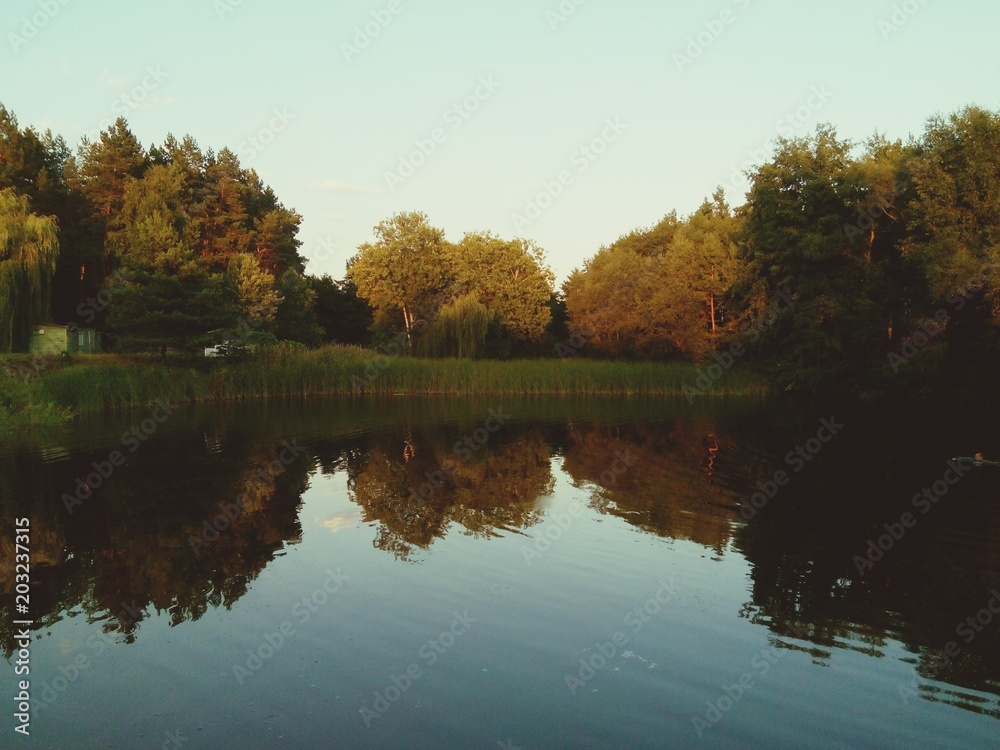 Reflection of trees in the lake