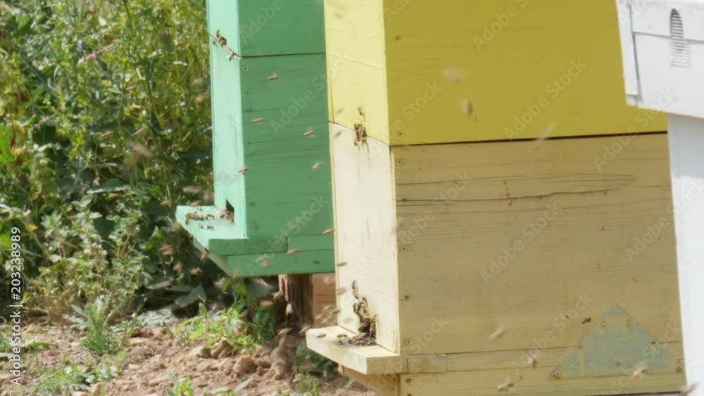 Beehive on the fields.Close up Beehive on the fields.Close up